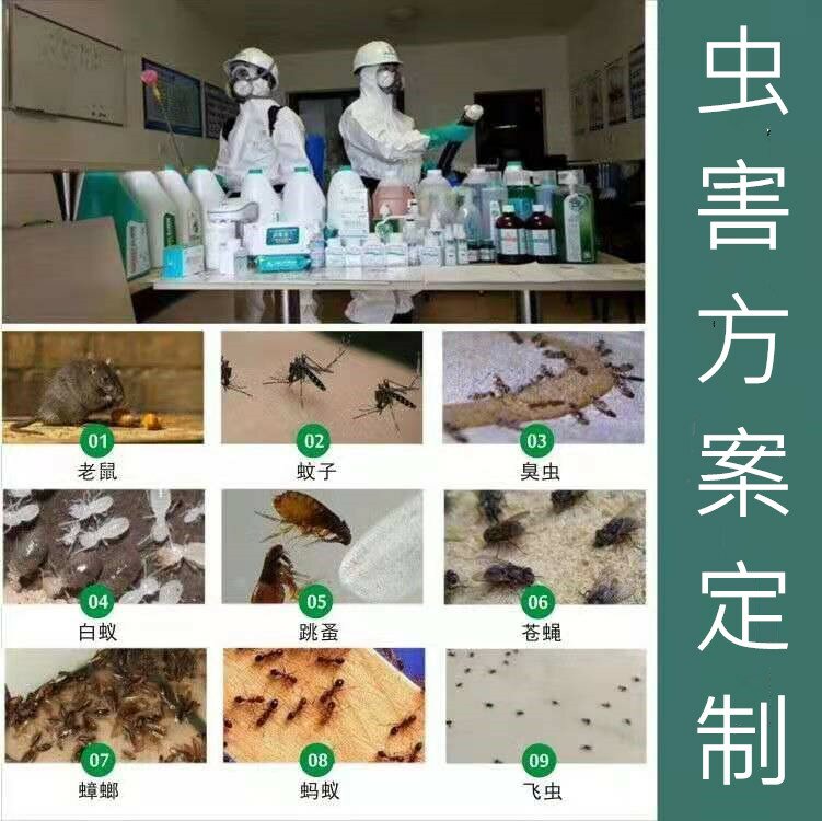 ��ͥ�x�����Ʒ��η���