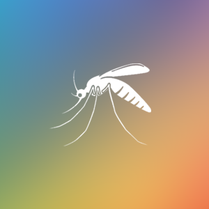 �岨�������ϵ�y