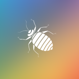 �岨���x���ϵ�y