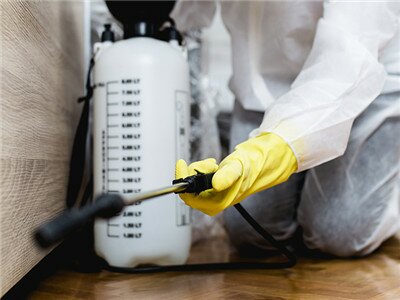 ���T���������